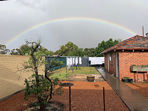 Merredin Gumtree