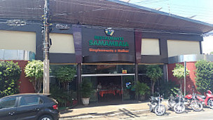 Samambaia