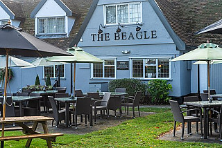 Beagle Pub