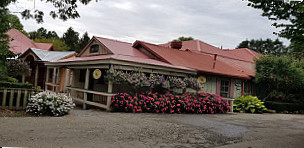 Sand Hill Berries