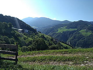 Maso Guntschoeller