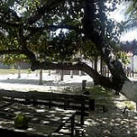 Espaço Mangari