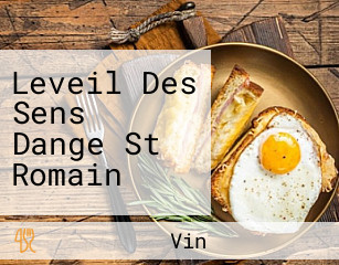 Leveil Des Sens Dange St Romain