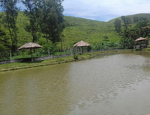 Restaurante Forno E Fogao