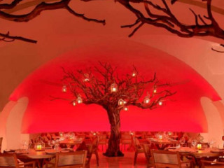 Arbol at Las Ventanas