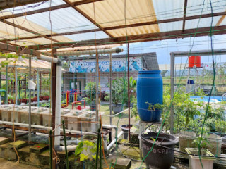 Joglo Ndeso Hydroponics Garden