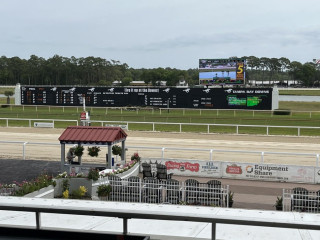 Trackview