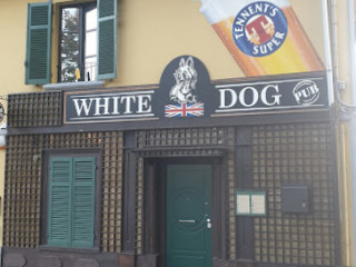 White Dog