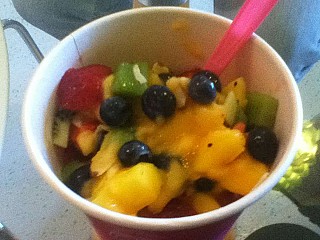 Crave Now Yogurt