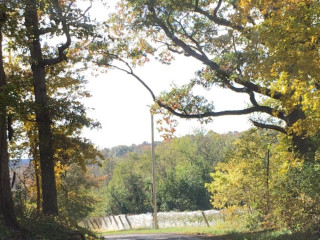 Holtkamp Winery
