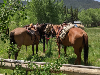 Vee Guest Ranch