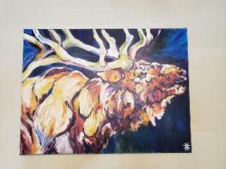 Pine Tree