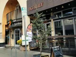 Tigerlily Berkeley