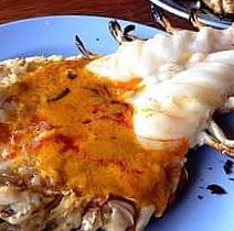 ร้านดังอาหารอร่อย สายสาย4.0