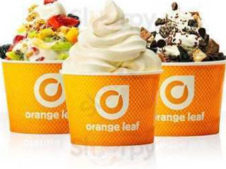 Orange Leaf Frozen Yogurt