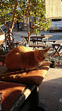 Táo Zhī ān Bì いうつわと Tián Shè Liào Lǐ