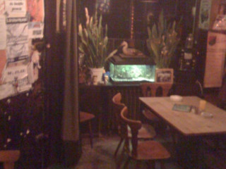Chill Out Club Palenke