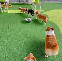 Doquabistro