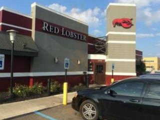 Red Lobster