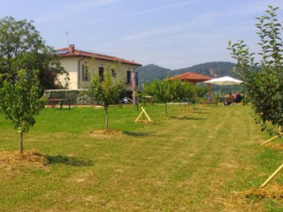 Il Balcone Sul Monferrato