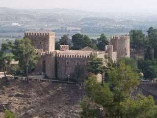 El Cardenal Del Alcazar