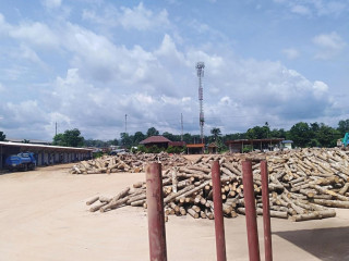 ทุ่งหนองยางฟาร์ม