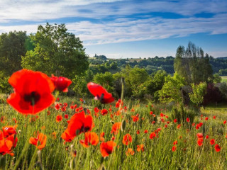 La Campagne St Lazare Chambres, Et Seminaire, Nature Forcalquier