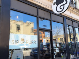 Sip Purr Cat Cafe