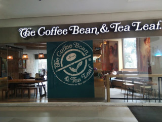 The Coffee Bean The Leaf