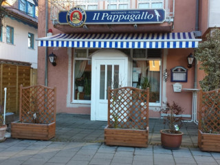 Il Pappagallo