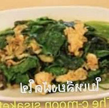 The Cmoon Sisaket Tropical Raft เดอะซีมูน ศรีสะเกษ