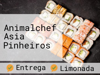 Animalchef Asia Pinheiros