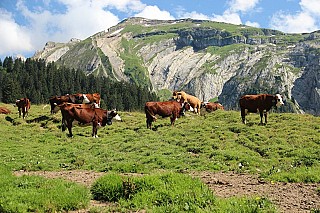 Ferme Auberge de Freterolles