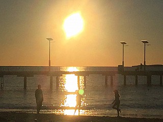 Jurien Jetty Cafe