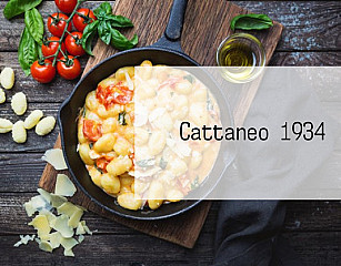 Cattaneo 1934