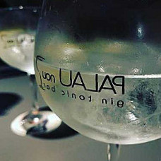 Palau Nou Gin Tonic