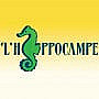 L'hippocampe