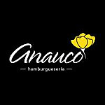 Anauco Hamburgueseria Gourmet