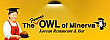 Owl Of Minerva