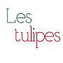 Les Tulipes