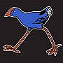 Le Pukeko