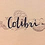 Colibri