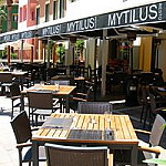 Mytilus