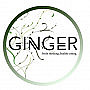 Ginger