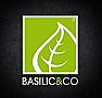 Basilic Co Merignac (mondesir)