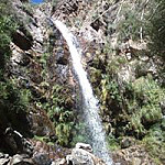 Nevada