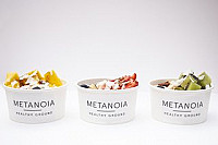 Metanoia Healthy Ground