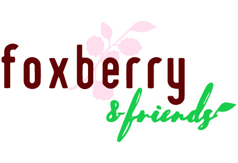 Foxberry Frozen Yogurt