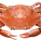 M. Blue Crab(Seasonal)