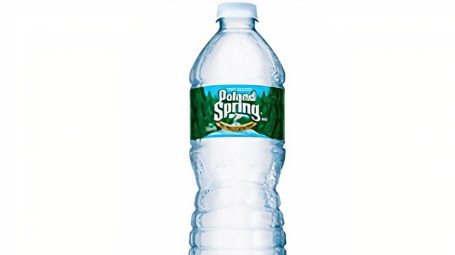 Poland Spring Water 16.9